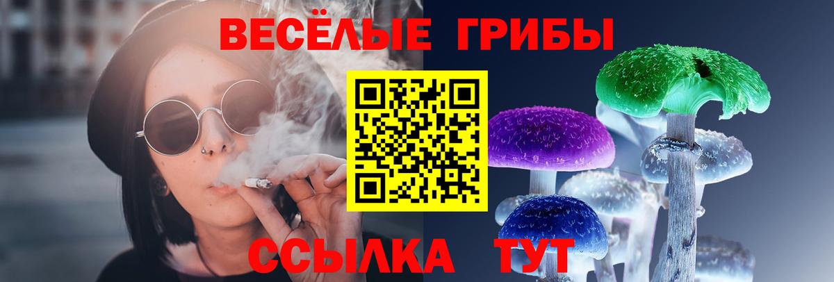 Новоалександровск  Галлюциногенные грибы мицелий  Вход с VPN  Псилоцибиновые грибы мухоморы 